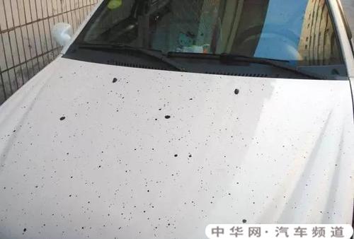 车漆上的胶怎么清理，车漆上的胶怎么清理,知识介绍