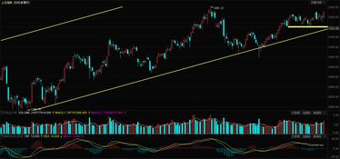 空头与多头，什么是多头什么是空头