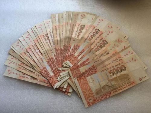 去巴基斯坦要多少钱，出国去巴基斯坦需要什么条件