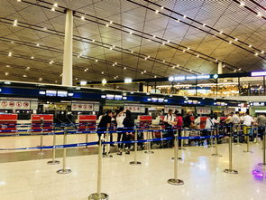 机场行李托运，机场行李托运咨询电话