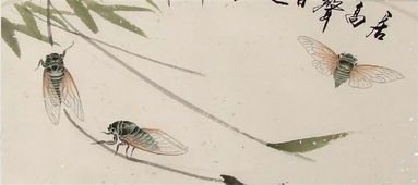 古诗蝉，古诗蝉带拼音