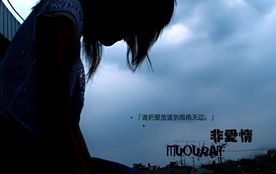 一个人的情歌，一个人的情歌本兮