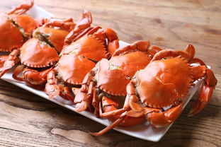 螃蟹公的好吃还是母的好吃，吃螃蟹公的好还是母的好
