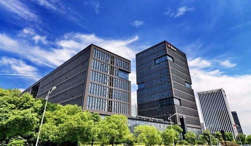 浙江大华是国企吗，浙江大华是国企吗还是央企