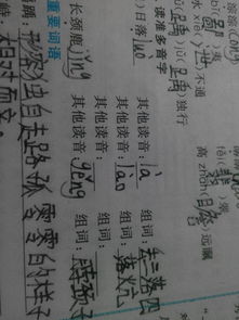 落怎么组词，落怎么组词三年级
