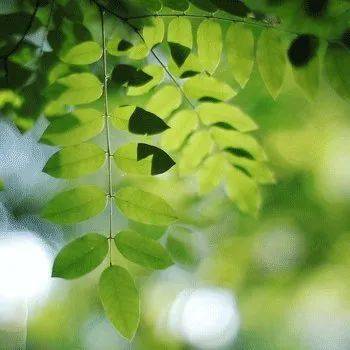 梦见已经过世的长辈给钱，梦见已经过世的长辈给钱没要