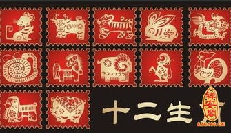 属相姻缘匹配，属相姻缘配对