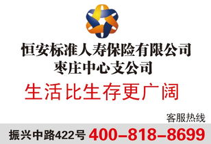 恒安人寿保险，恒安标准人寿保险公司