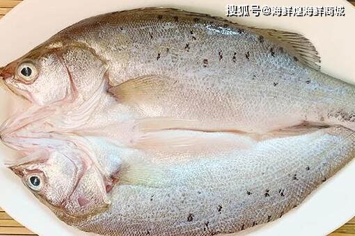 鲈鱼属于海鱼还是淡水鱼，鲈鱼属于海鱼还是淡水鱼种