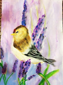 鸟有几画，鸟有几画笔顺怎么写