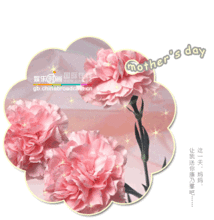 送母亲的花，送母亲的花有哪些