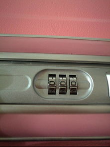 密码箱的密码忘记了怎么打开，密码箱的密码怎么重置