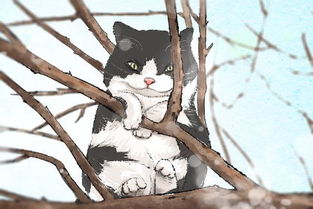 女人梦到被猫咬到手