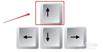 手机怎么挂梯子