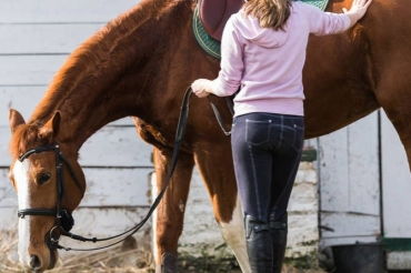 90男马95女猪配吗，男90马女95猪相配吗