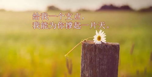 表示很忙的经典句子，表示很忙的经典句子英语