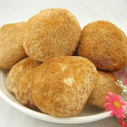 猴头菇做法，猴头菇做法食谱大全