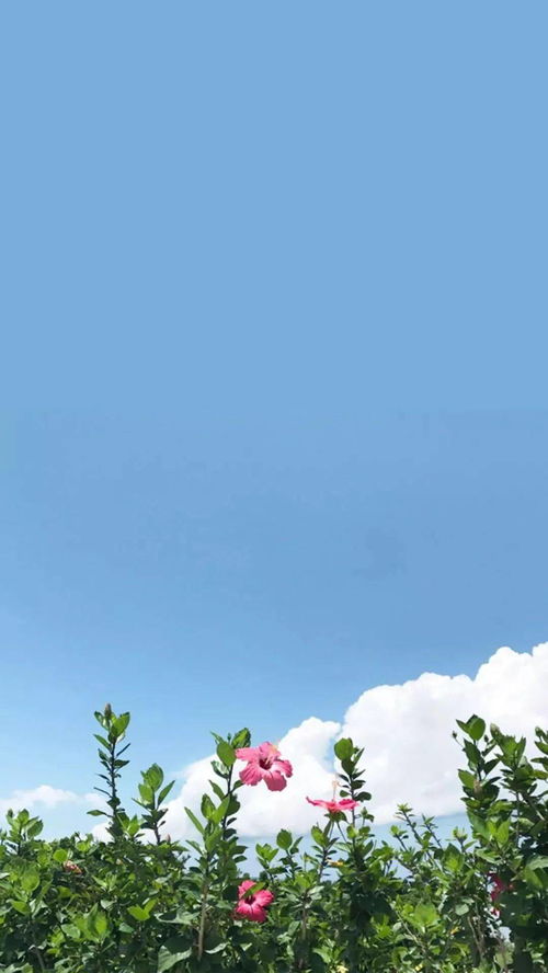 墙纸画和挂画哪个更好些
