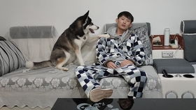 婴儿交流翻译器，宝宝语音翻译器