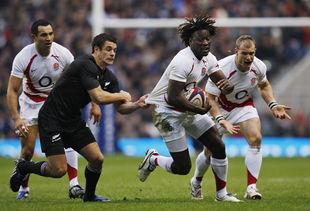 七人制橄榄球是，七人制橄榄球是什么橄榄球的一种