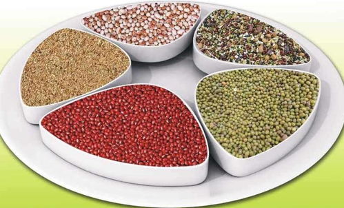 五谷中的菽是什么，古代五谷中的菽是什么