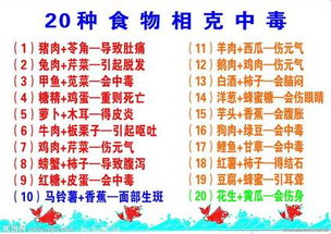 食物相克表大全图片