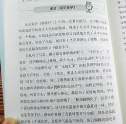 描写人物的作文，描写人物的作文300字