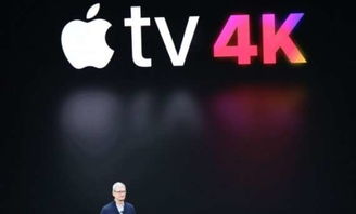 4k是多少钱，4k是多少钱人民币