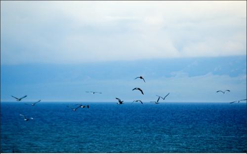 旖旎的意思是什么，旖旎的意思是什么标准答案