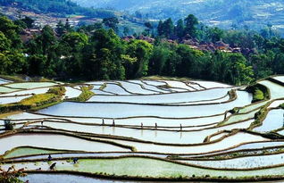 1公顷等于多少亩或多少平方米，1公顷等于多少亩或多少平方米?