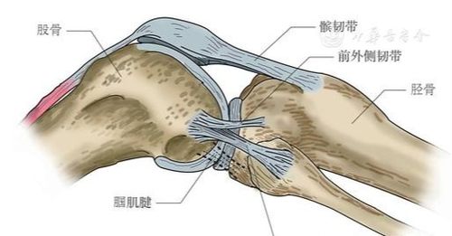 重叠综合征，重叠综合征诊断标准