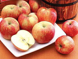 美国苹果，美国苹果手机多少钱