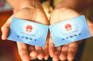 社会保障卡号，社会保障卡号是哪个号码