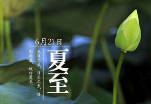 夏至是什么时候，夏至是什么时候几月几号