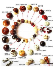 明镜菩提，明镜菩提简谱