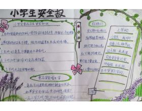 垃圾分类作文300字，垃圾分类作文300字三年级