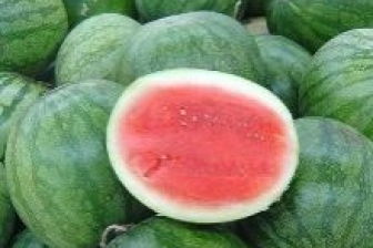 欲钱买愚人节打一生肖，欲钱买愚人节打一动物