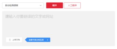 有道翻译在线翻译，有道翻译在线翻译英语