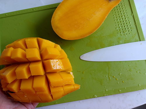 服软甜柚子，服软甜柚子温软林以唐