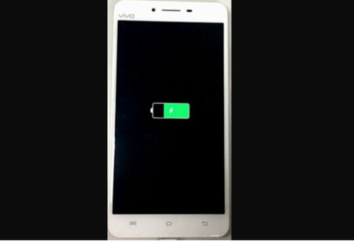 vivo手机突然开不了机，vivo手机突然开不了机怎么办