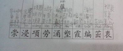 组词怎么组，他组词怎么组