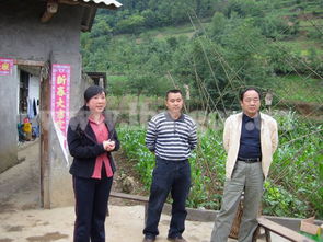 开始阅读情乱莲花村