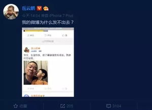 ios11微博闪退，iphone12微博闪退