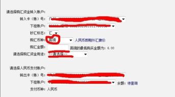 网上外汇，网上外汇平台被骗的钱能追回吗