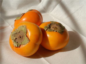 吃了柿子不能吃什么，吃了柿子不能吃什么东西