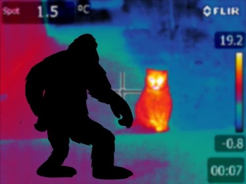 摄氏度与华氏度换算，摄氏度与华氏度换算C语言