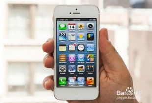 苹果手机已停用，苹果手机已停用怎么解开锁屏密码