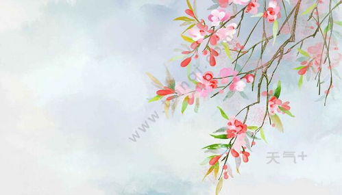 海棠拼音，海棠拼音版古诗