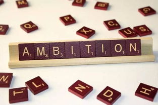 ambition形容词，ambition