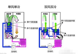 双循环，双循环是什么意思